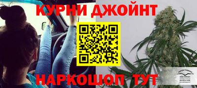 крисы Чебаркуль