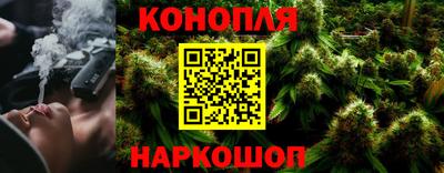 крисы Чебаркуль
