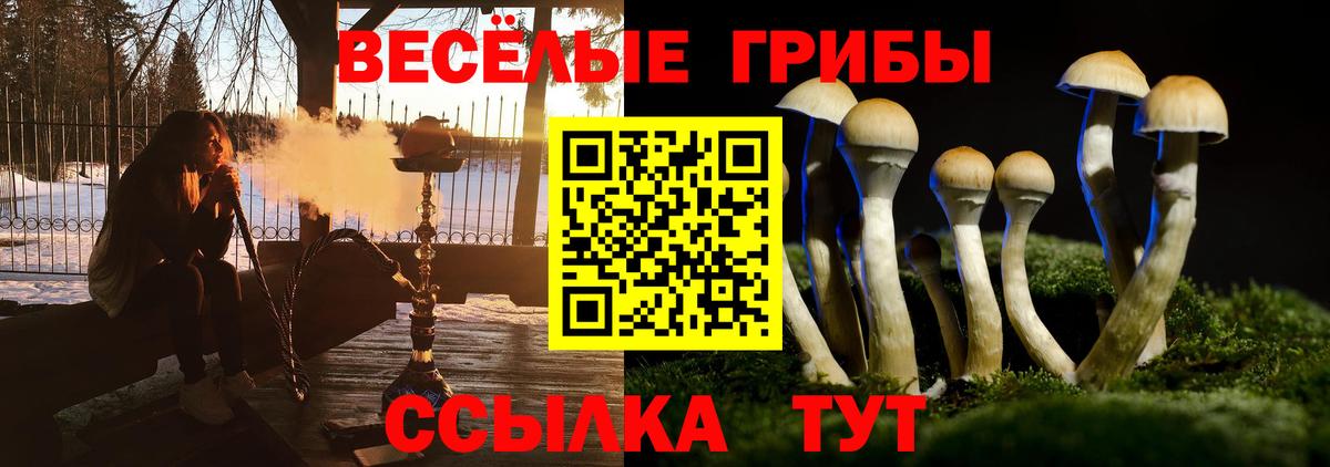 Бийск  Псилоцибиновые грибы GOLDEN TEACHER  Псилоцибиновые грибы Cubensis  где можно купить наркотик  Вход с VPN 