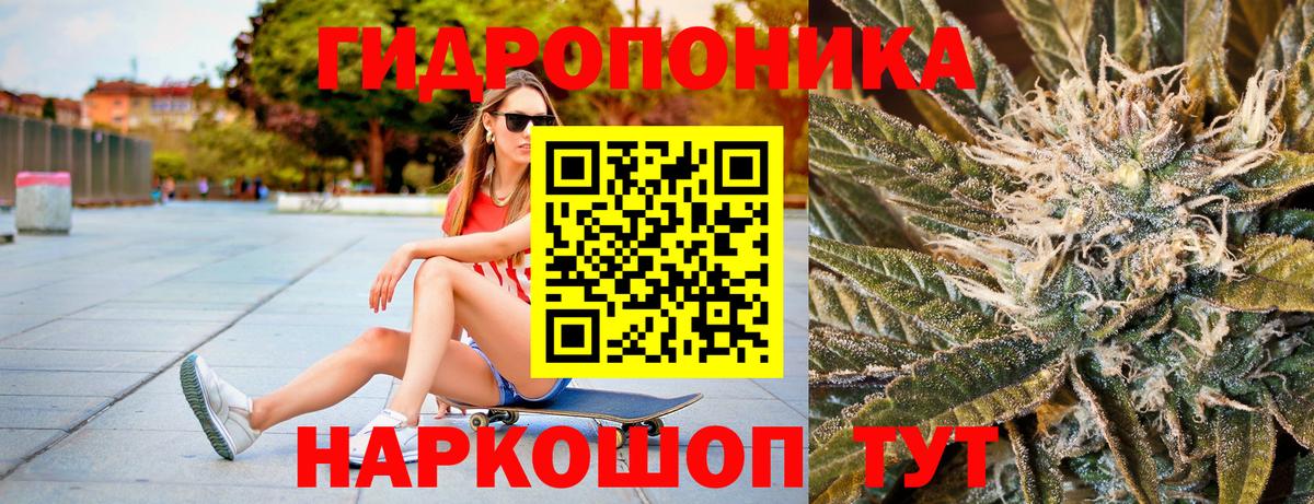 Бошки Шишки Amnesia  Вход с VPN  Канабис тримм  Бошки марихуана индика  Канабис тримм  Бийск 